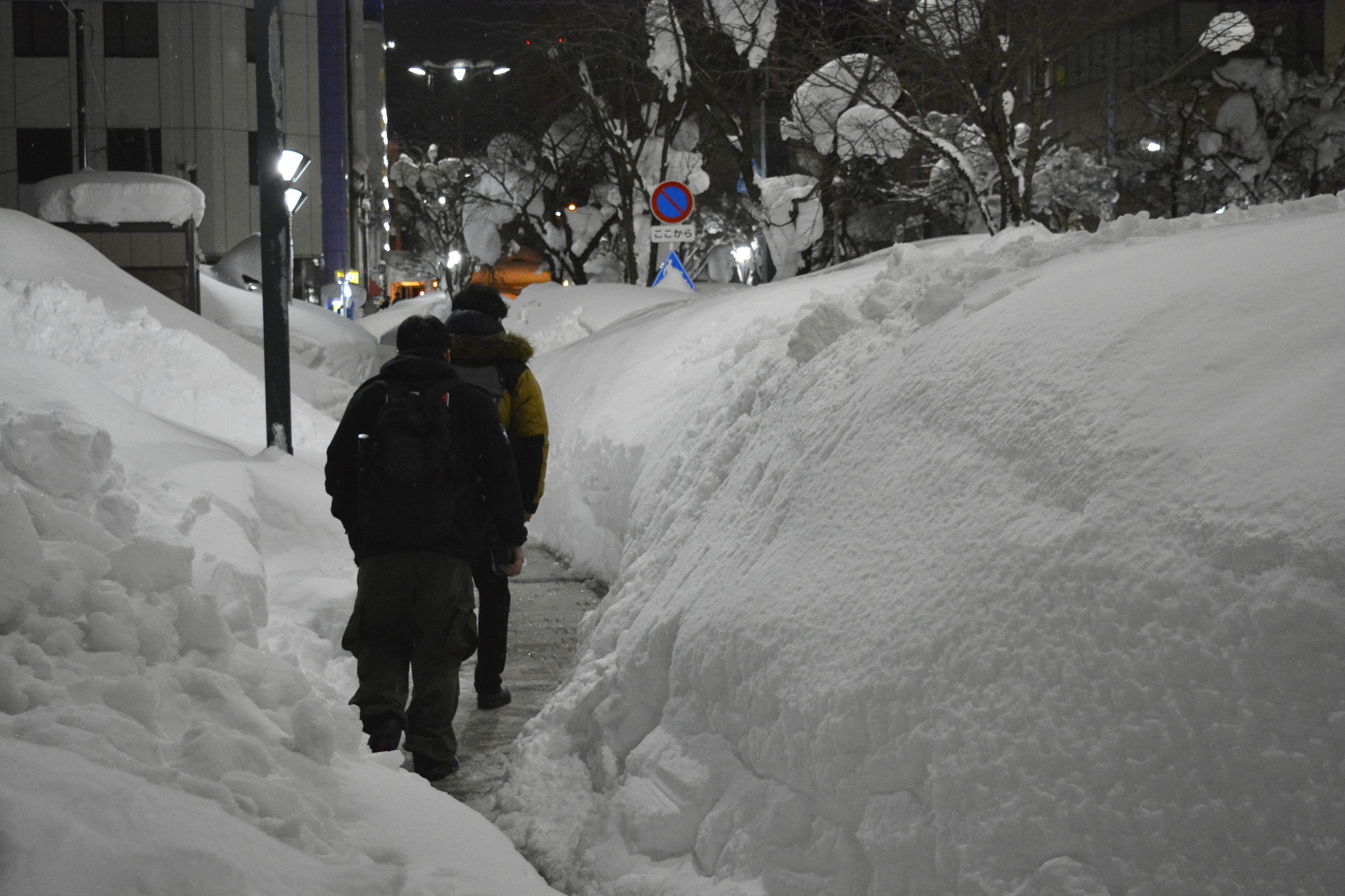 春はもうすぐ？　過去１０年の青森で「積雪０」になった日を調べてみた　
