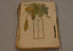 「ばけばけ」モデルが作成? 小泉八雲スクラップ帳がなぜ八戸に