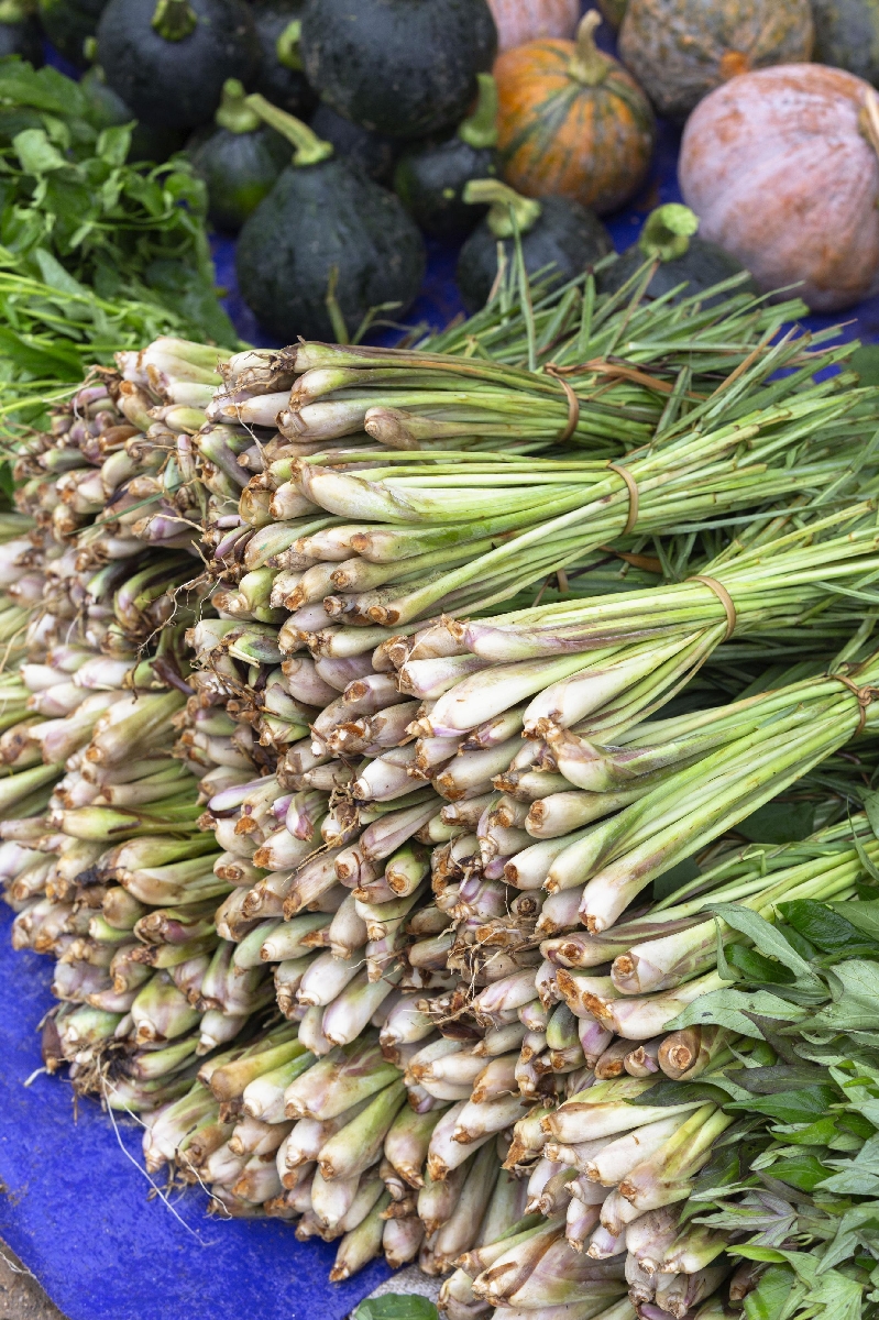 　市場で売られるレモングラス＝ラオスの首都ビエンチャン