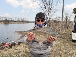 大物５５センチ！ヘラブナをゲット　東北町・花切川で大久保さん（七戸）