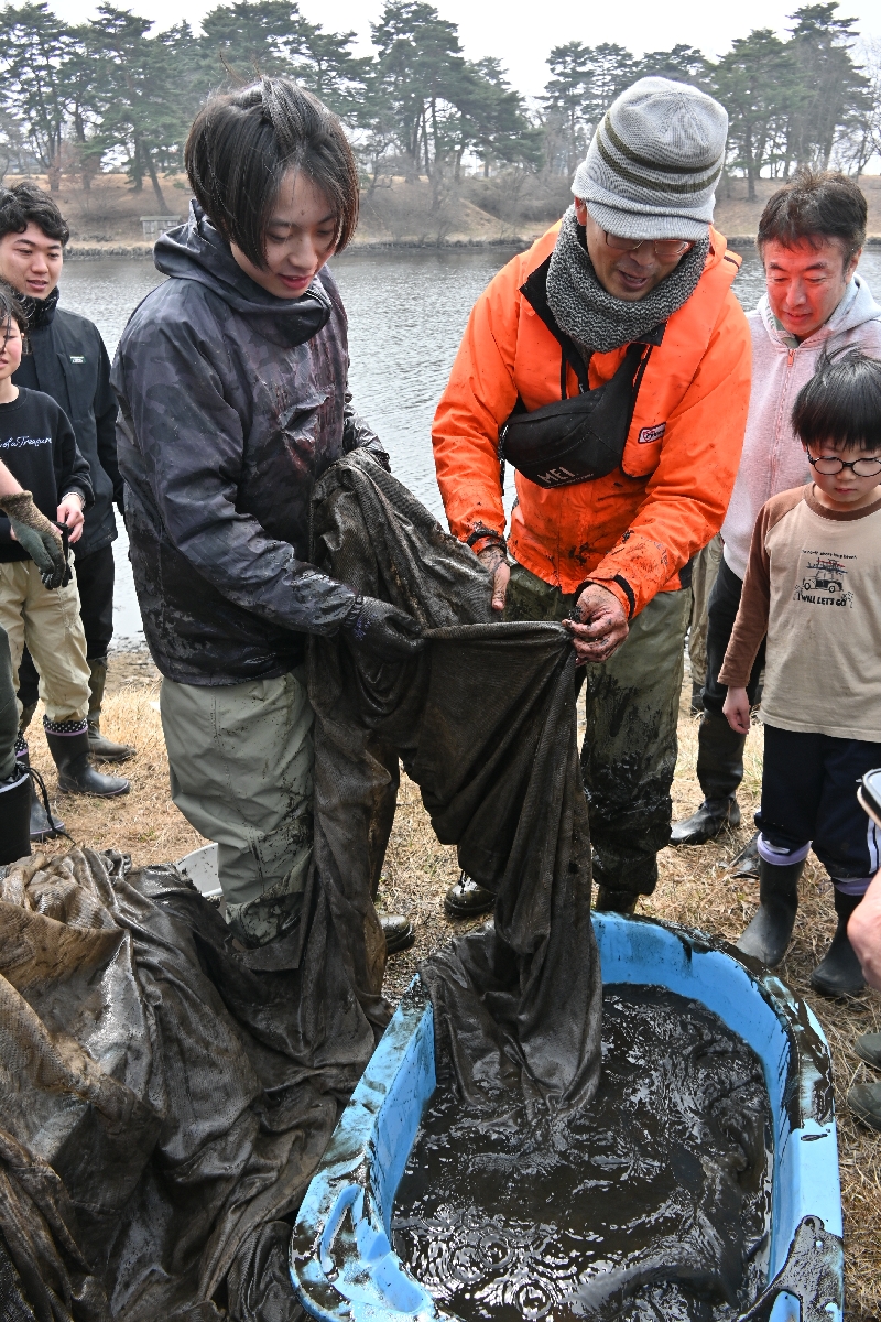 地引き網から生物を取り出す参加者=28日、六戸町