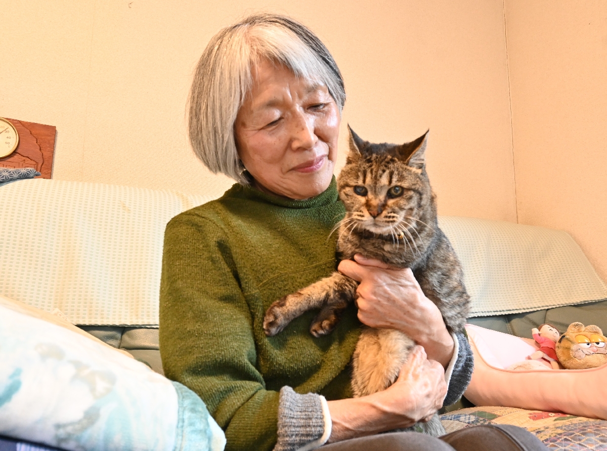 23歳のおばあちゃん猫、飼い主とのんびり/八戸