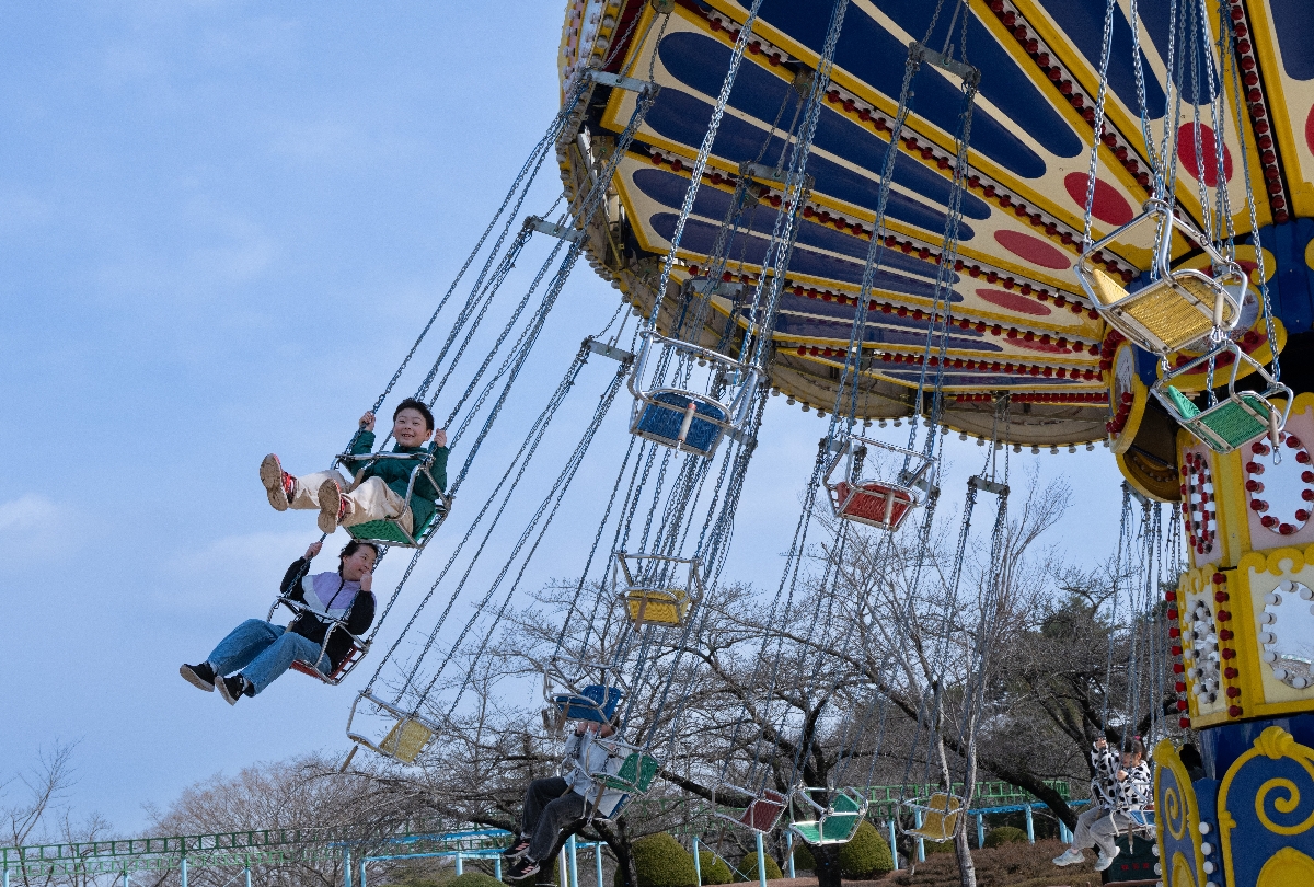 ファミリースインガーも人気の遊具だ