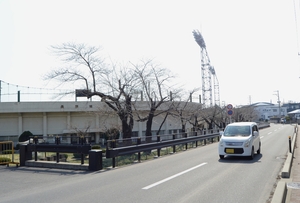 夏の大会、長根の使用見合わせ　高校野球青森、ファウルボール飛び出しの解決策なく