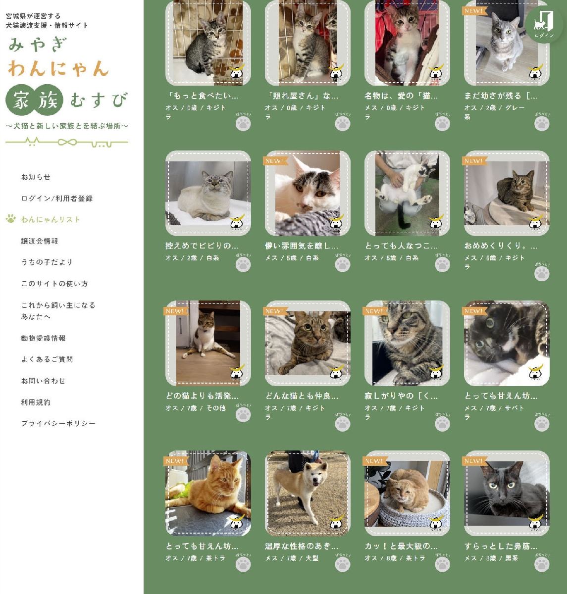 　宮城県が開設した、保護された犬猫と新たな飼い主をつなぐマッチングサイト「みやぎわんにゃん家族むすび」