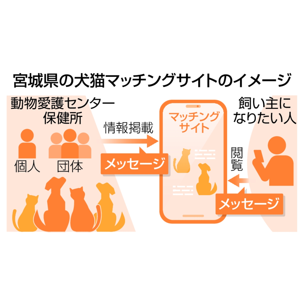 宮城県の犬猫マッチングサイトのイメージ