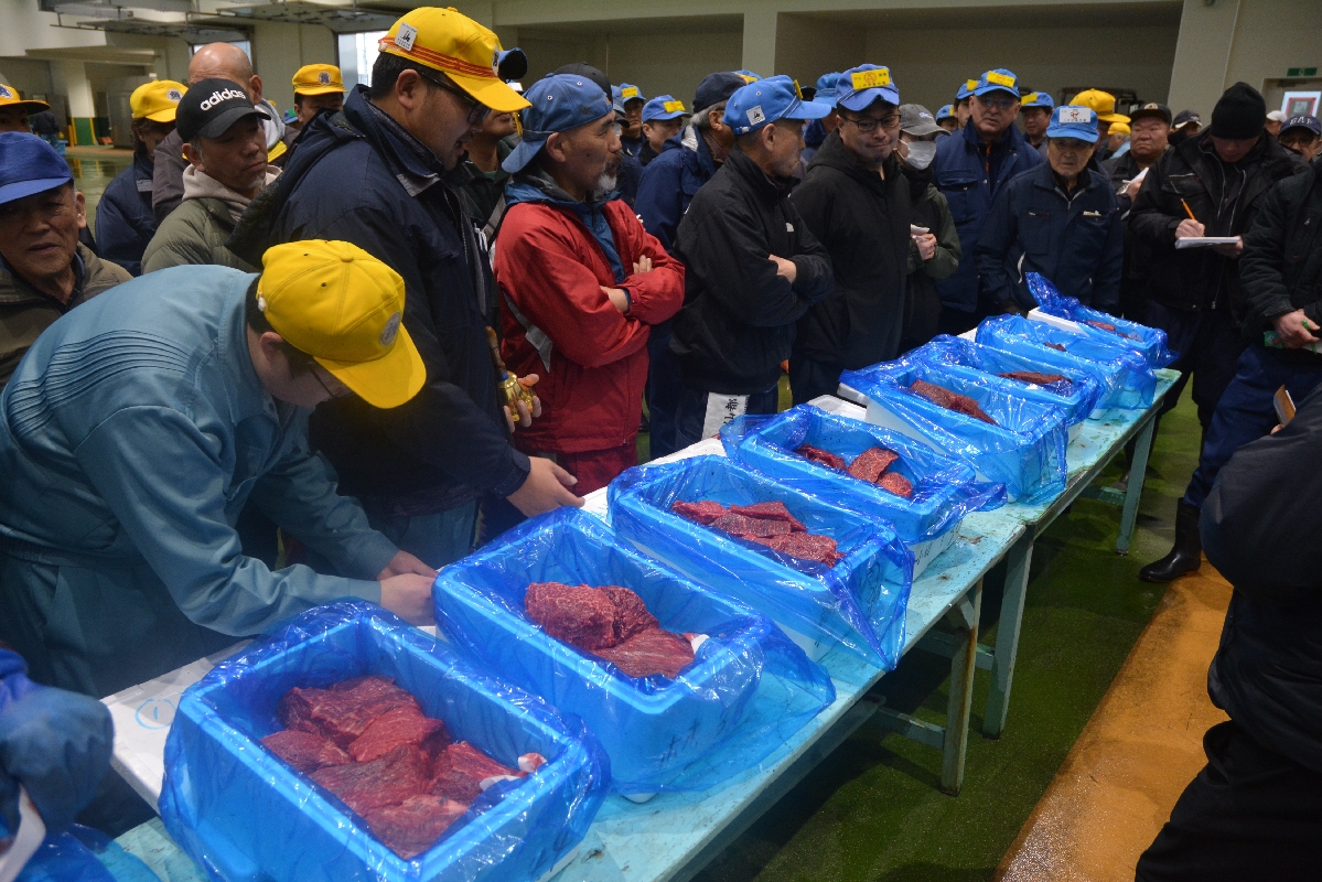 商業捕鯨で漁獲され今季初上場したミンククジラの生肉=6日、八戸市第2魚市場