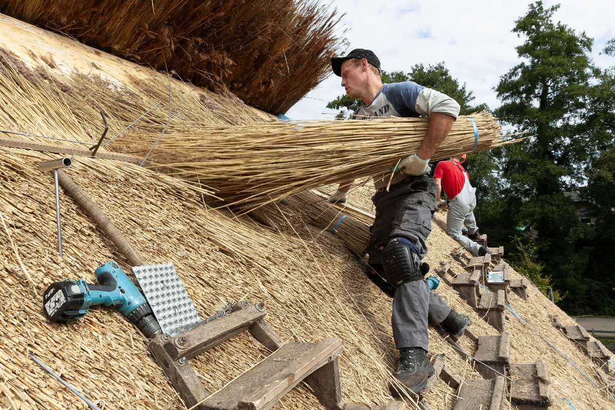 　ヨシでかやぶき屋根を造る人＝オランダの首都アムステルダム