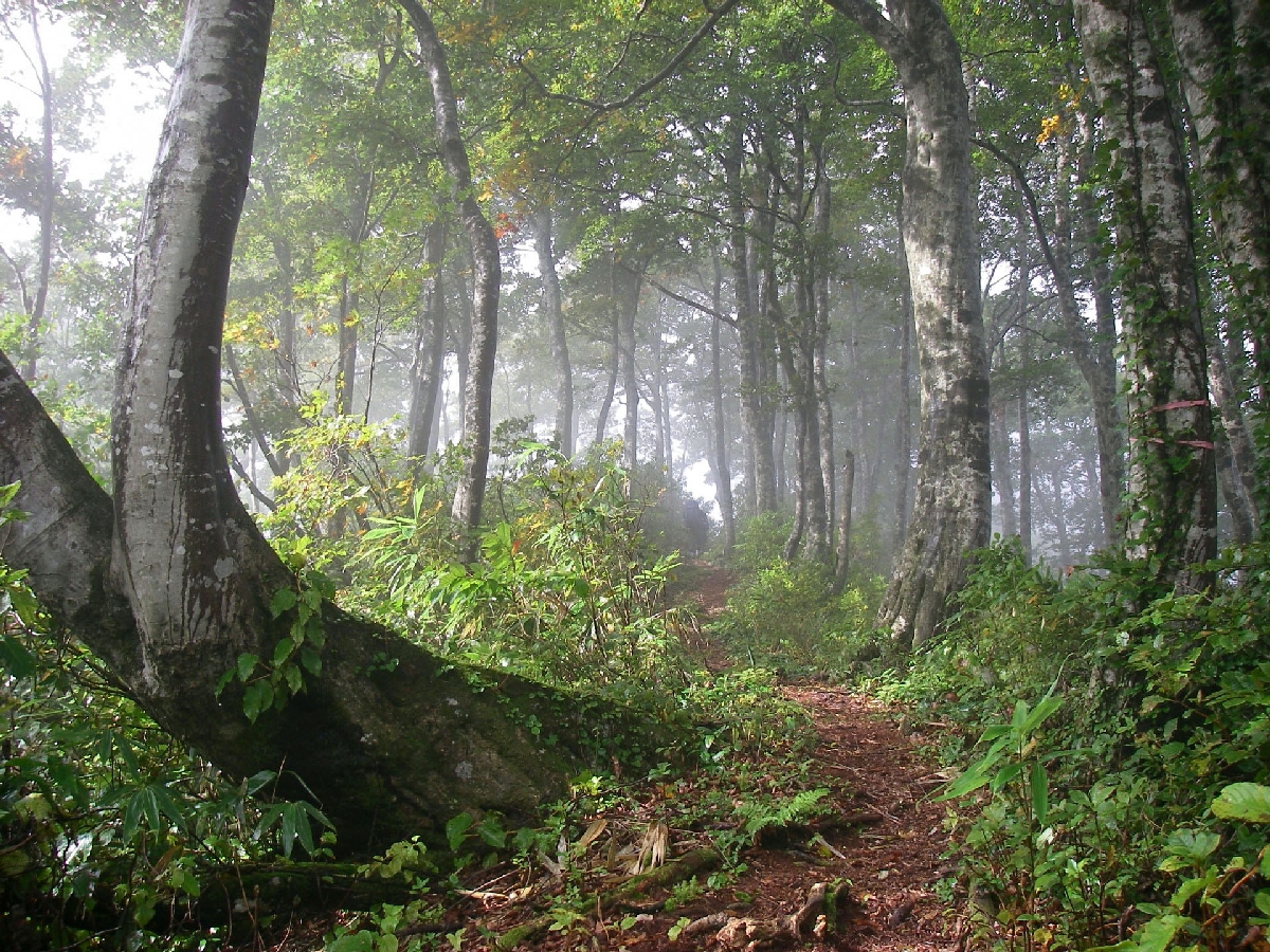 「信越トレイル」=長野県飯山市