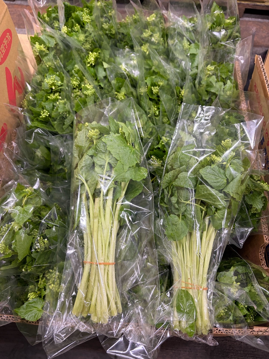 八戸市中央卸売市場に上場された花ワサビ=9日、同市