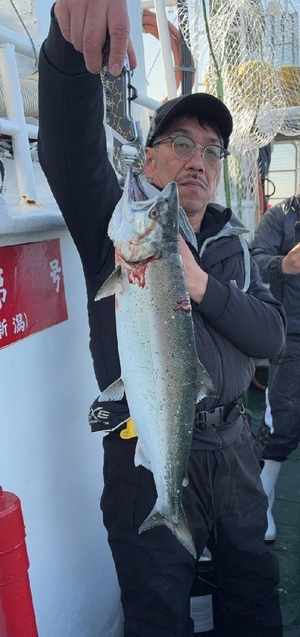 【釣果じまん】サクラマス/尻屋沖