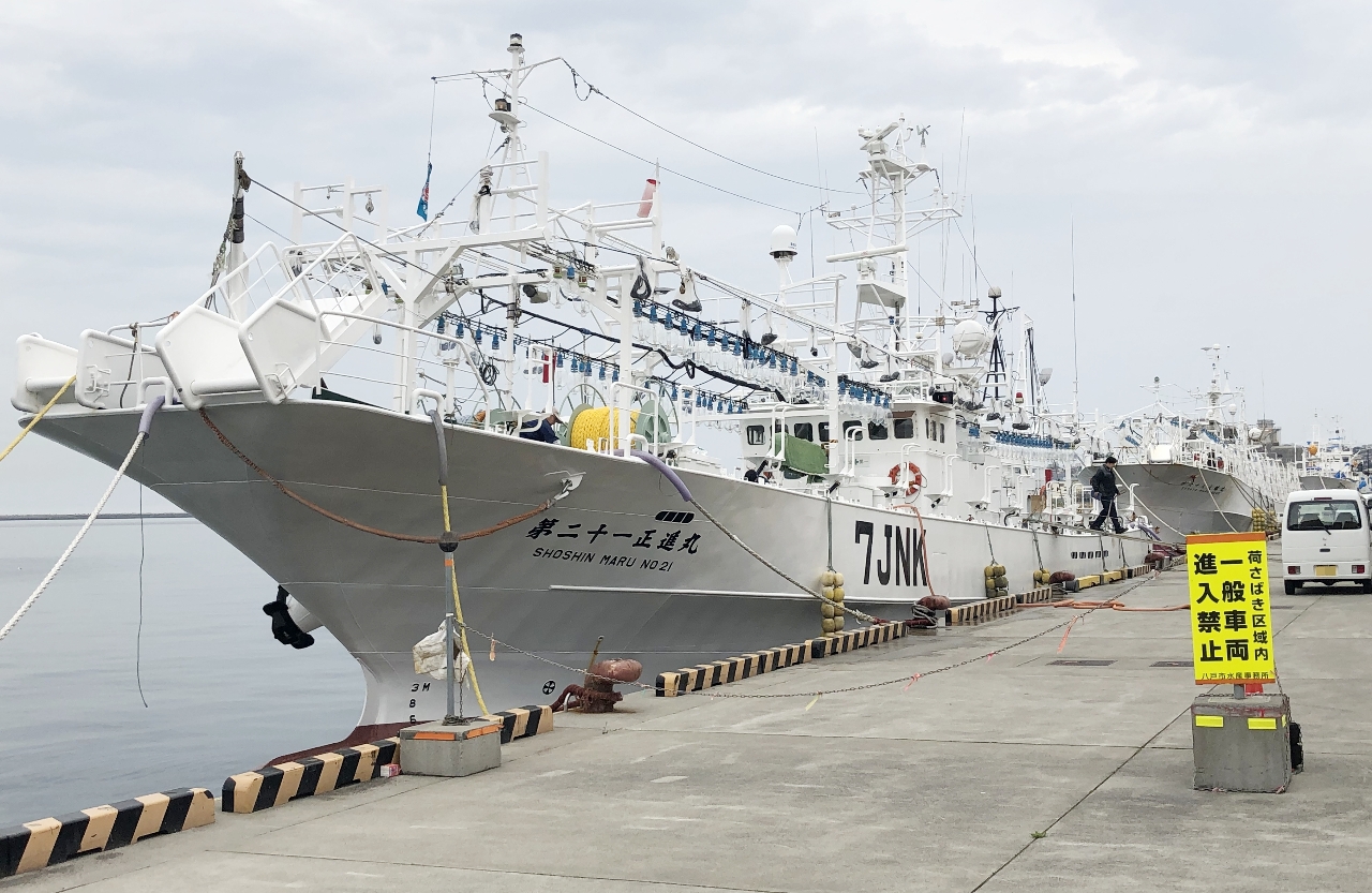 出漁を控えた中型イカ釣り船。燃料の供給不安が八戸港の漁船漁業に暗い影を落とす＝７日、同港