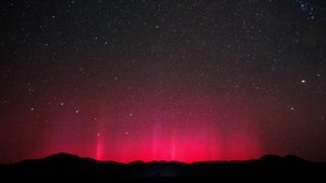 800年前に太陽から大量放射線 東通の埋没樹林分析で判明