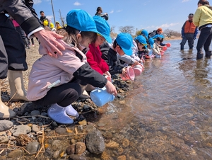 元気に帰ってきてね 十和田で園児がサケ稚魚放流