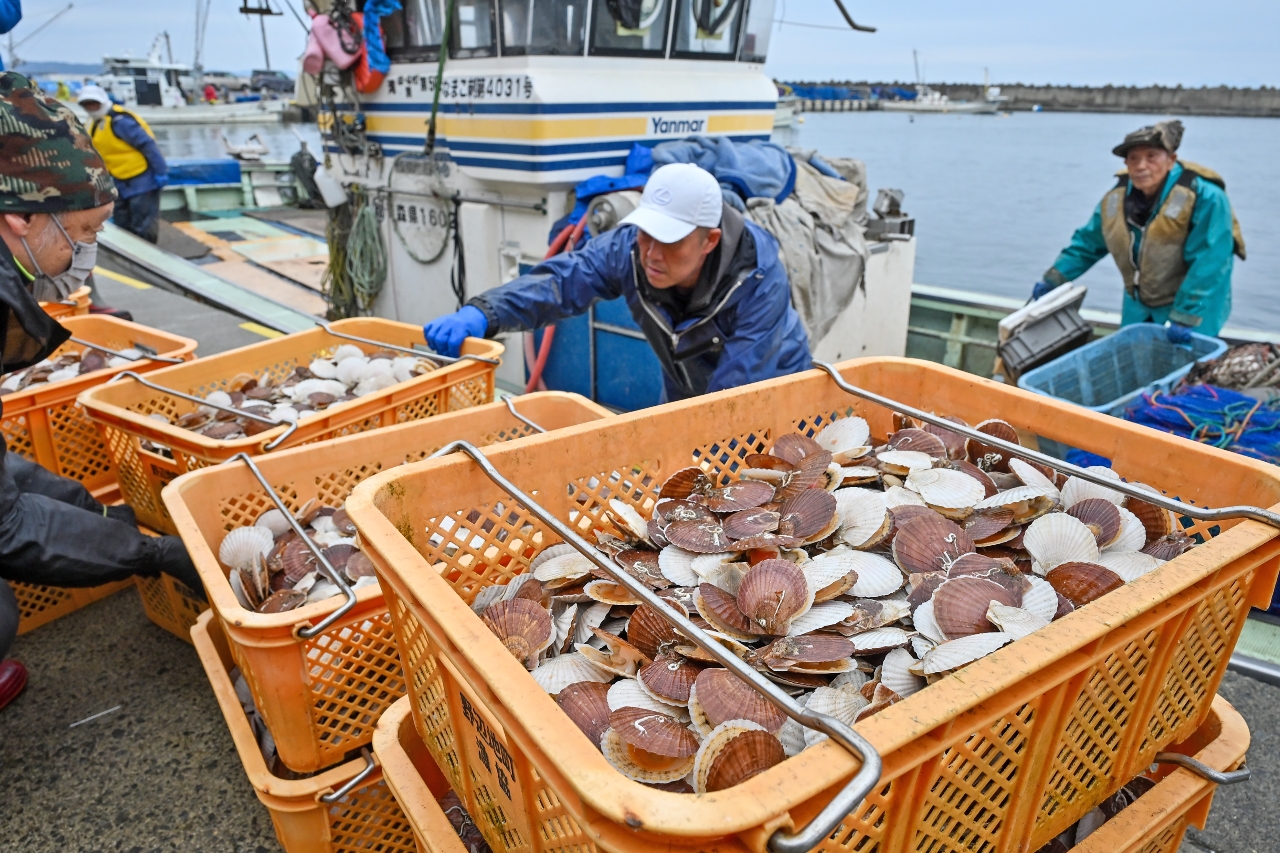 外ケ浜漁協から融通された半成貝を漁船に積み込む組合員＝１０日午前８時２５分ごろ、野辺地町