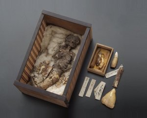 不気味なミイラに謎の小瓶- 八戸のお殿様は“秘宝”がお好き?