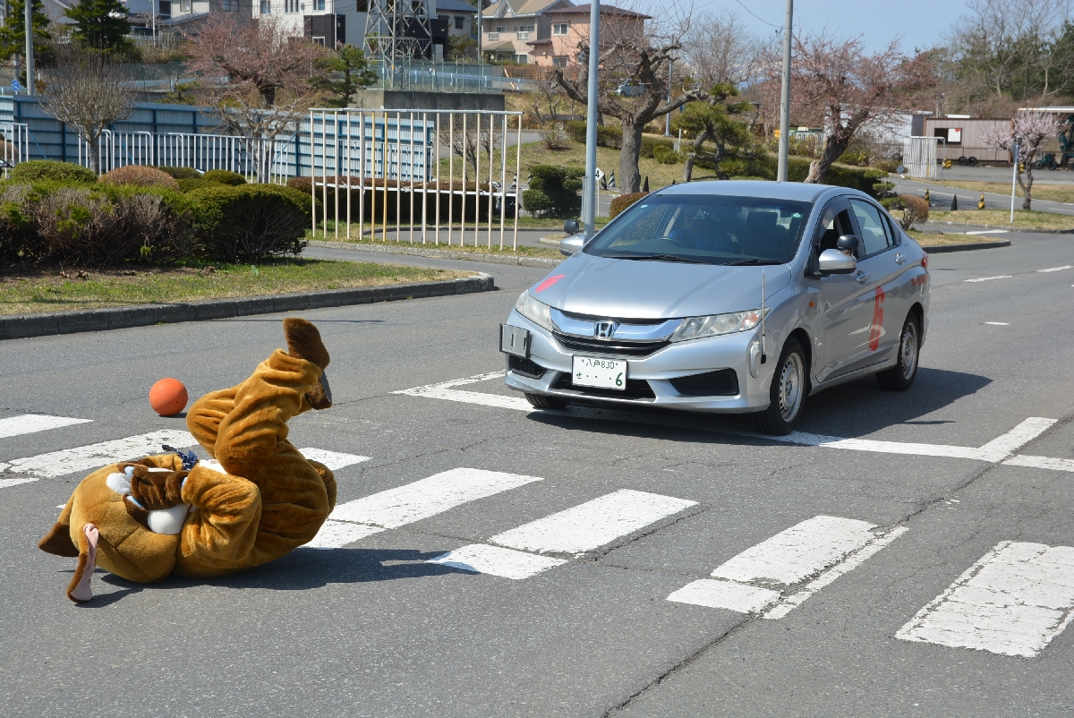 ボールを拾おうとして危ない目に遭ったワン太くん