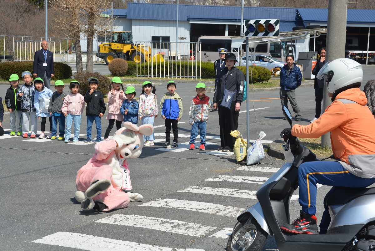バイクとぶつかりそうになったピョンちゃん