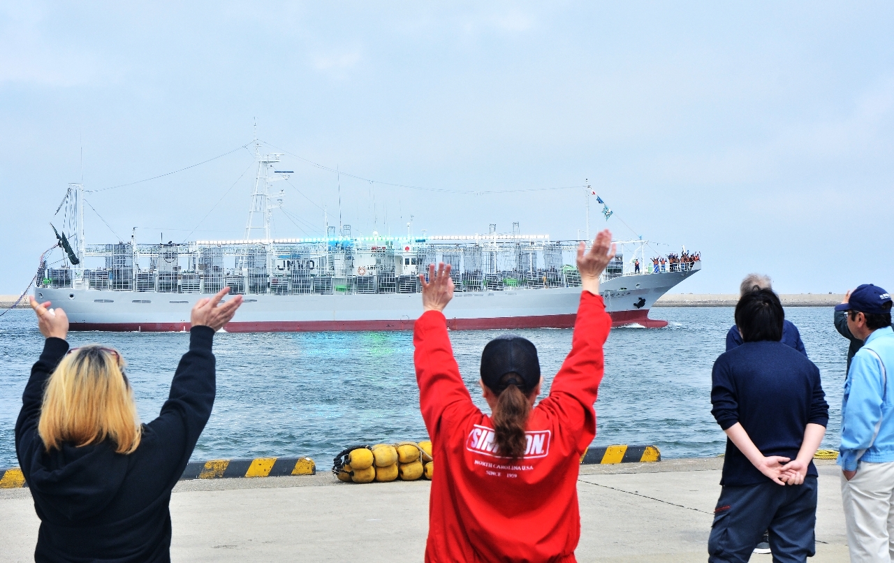 関係者に見送られながら北太平洋に向けて出港する「第30開洋丸」=15日、八戸港