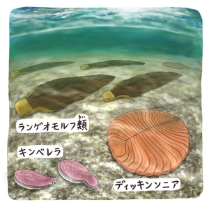【古代のモンスター】エディアカラ生物群 まるで異世界?