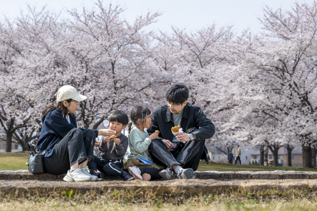 桜の開花が進む新井田公園。多くの人が花見に訪れていた＝１５日午後１時半ごろ、八戸市