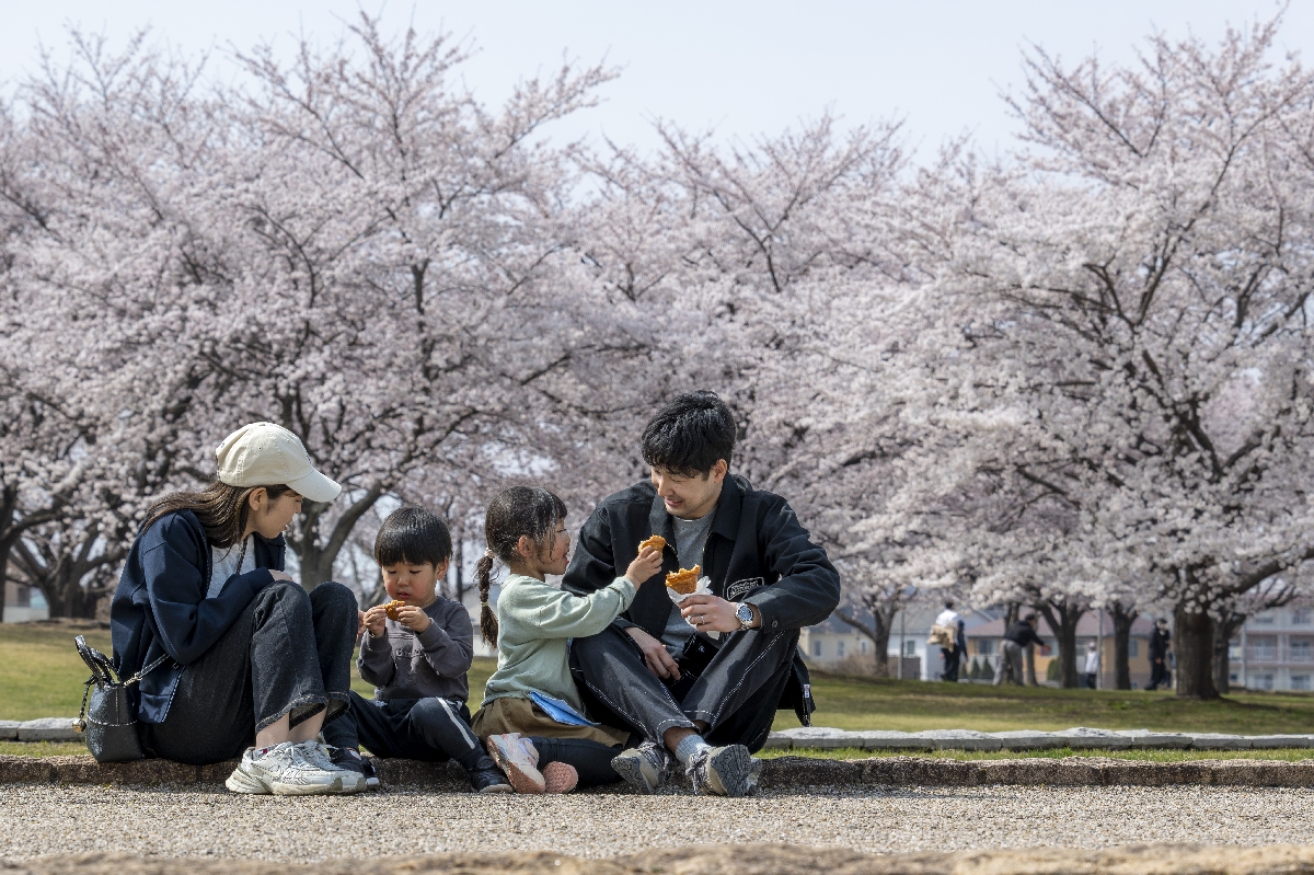 桜の開花が進む新井田公園。多くの人が花見に訪れていた＝１５日午後１時半ごろ、八戸市