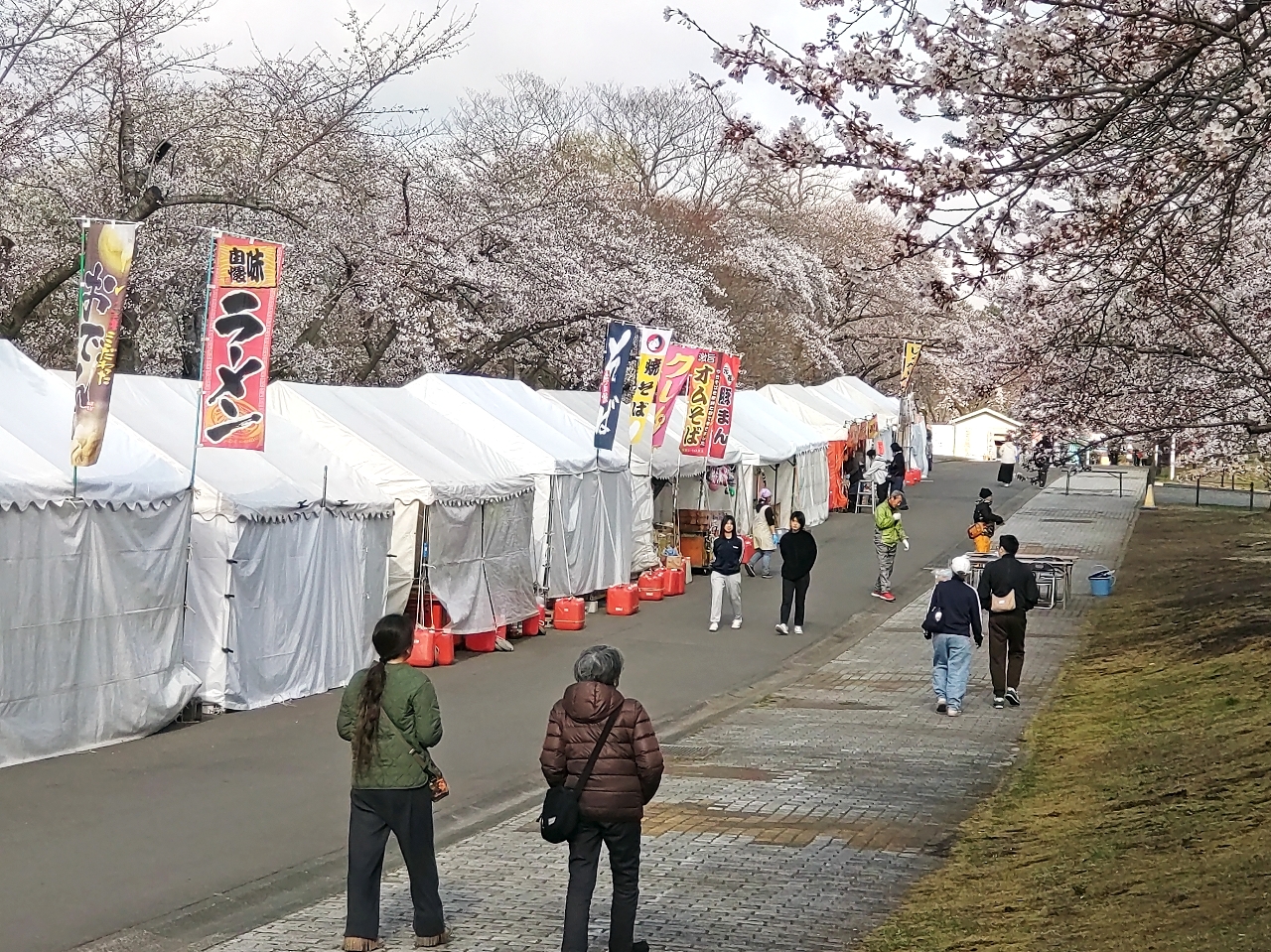 桜早咲き、祭り準備加速 開催前倒し、新サービスPR/青森県南地方