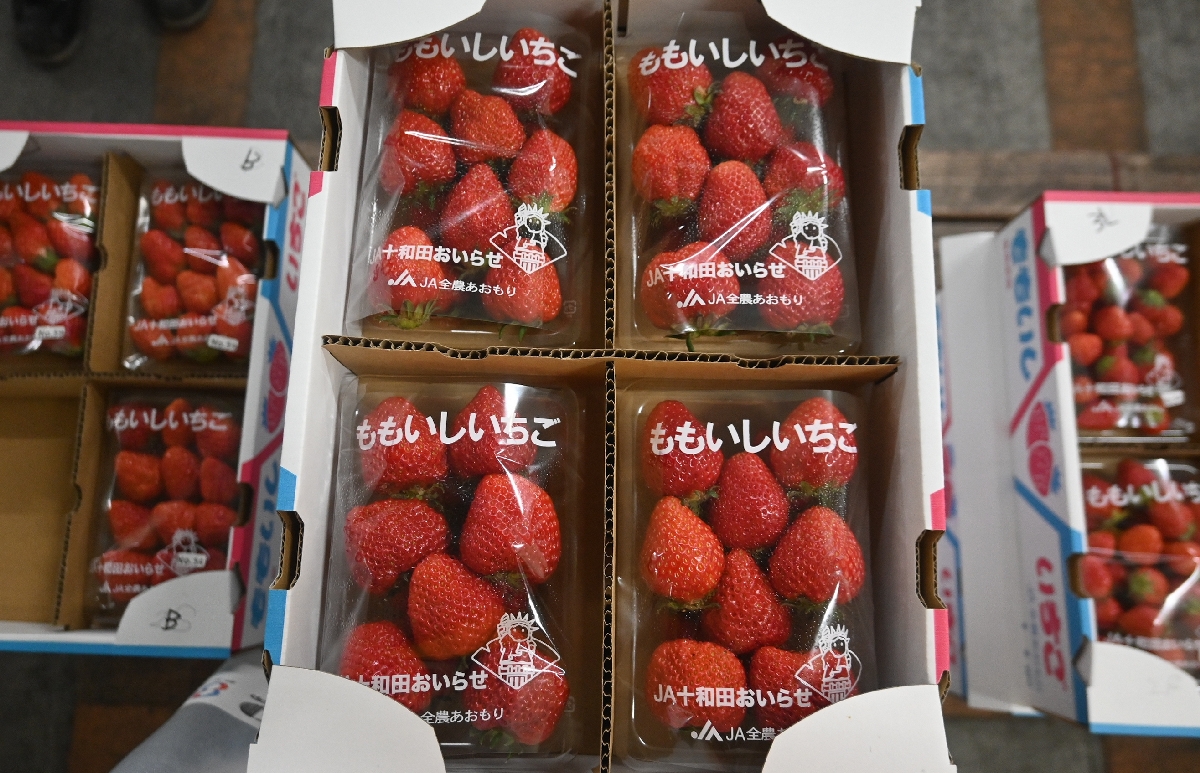 旬だより「ももいしいちご」（４月16日・八戸市中央卸売市場）