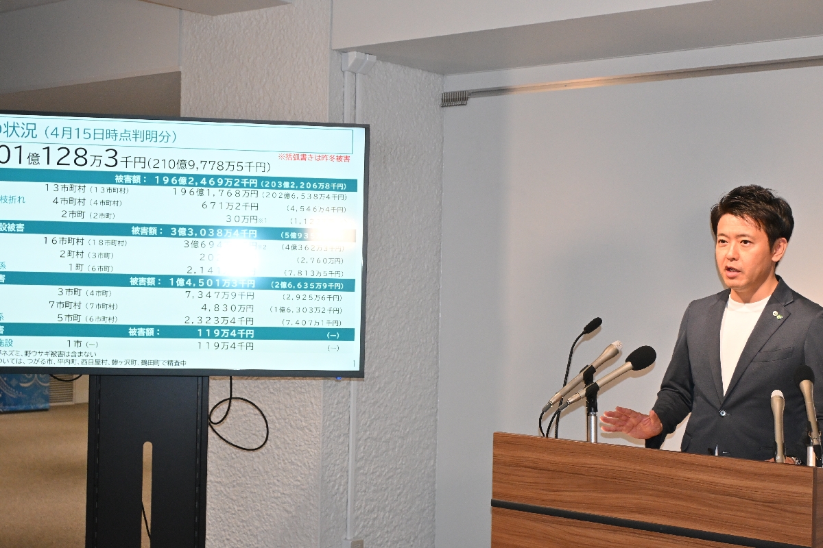 今冬の大雪による農業被害状況を説明する宮下宗一郎知事＝１６日、青森県庁