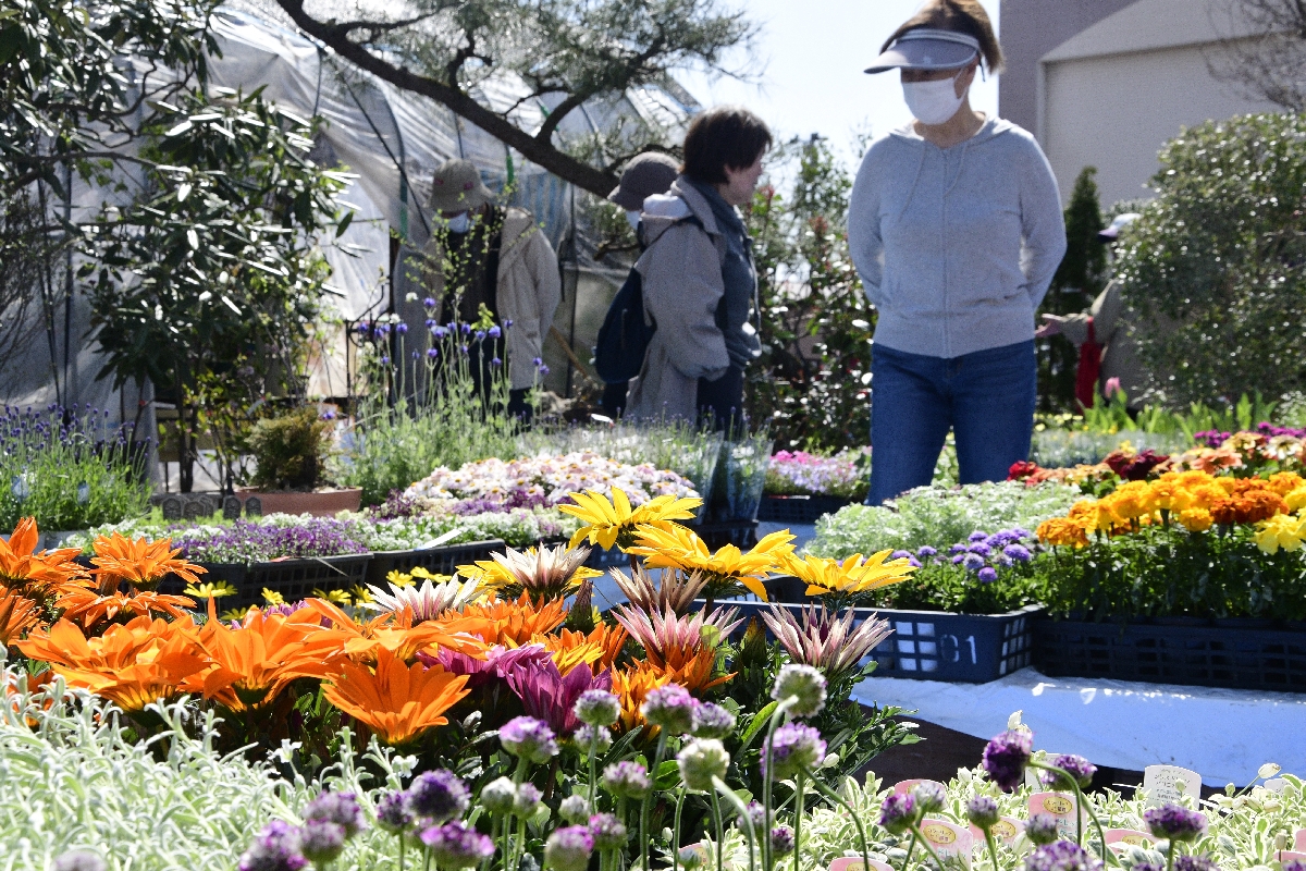 草花や庭木求めにぎわい　八戸市緑化まつり開幕