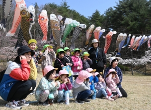 こいのぼり元気に泳げ 園児170人が力合わせ掲揚 久慈で鯉のぼりフェス