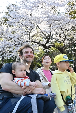 久しぶりの観桜イベント開催　長者山新羅神社で「花見まつり」／八戸