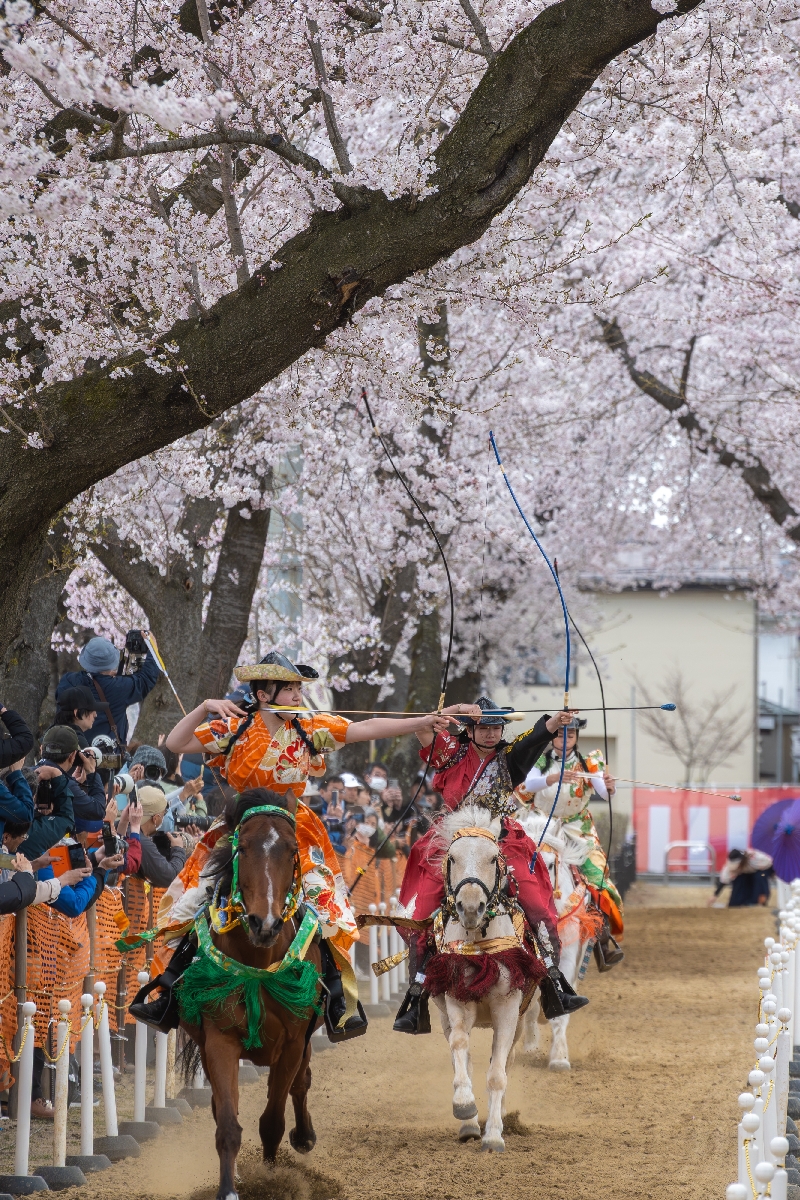 人馬に花、ともに華麗 十和田で桜流鏑馬