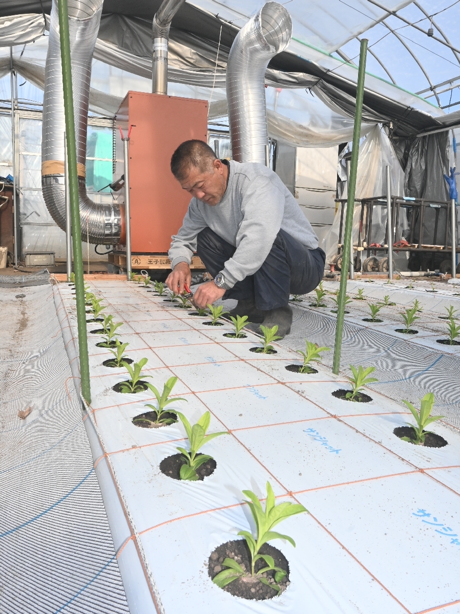 ああ、燃料も資材も高い　春の農繁期、燃油高ずしり／青森県南地方
