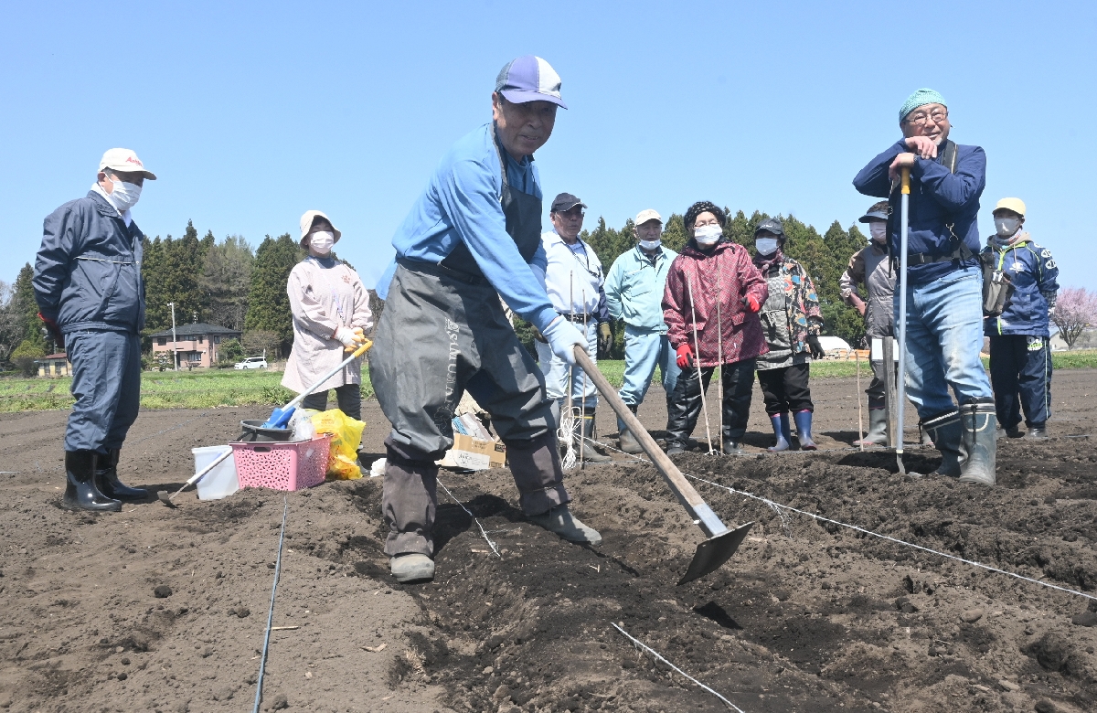 農作業に汗を流す利用者＝１９日、八戸市