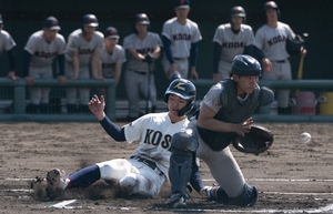 光星が頂点/春季高校野球・八戸ブロック