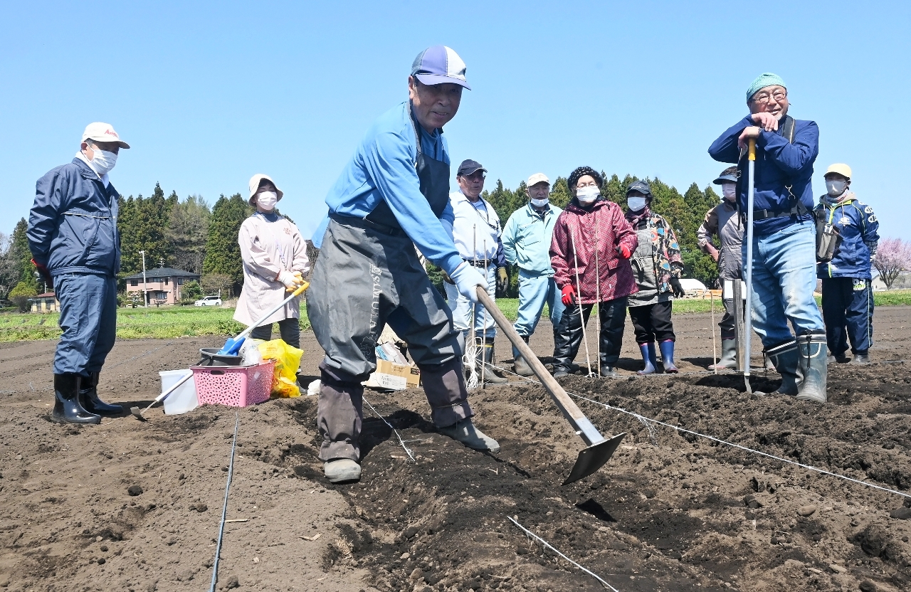 農作業に汗を流す利用者＝１９日、八戸市