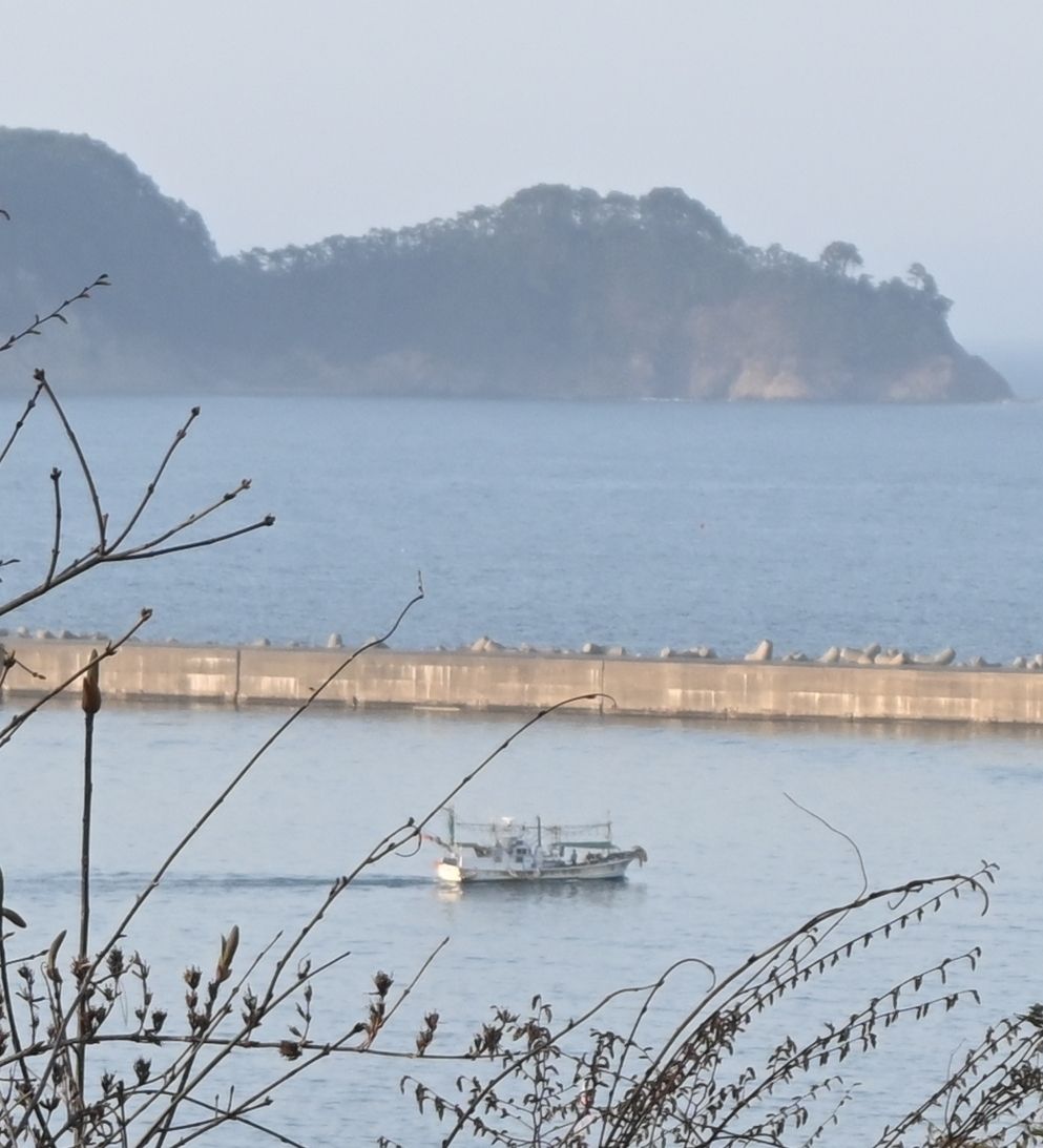 津波警報発令を受けて久慈港から沖出しする漁船=20日、久慈市