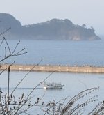 船舶多数、沖合避難　北海道、東北の港