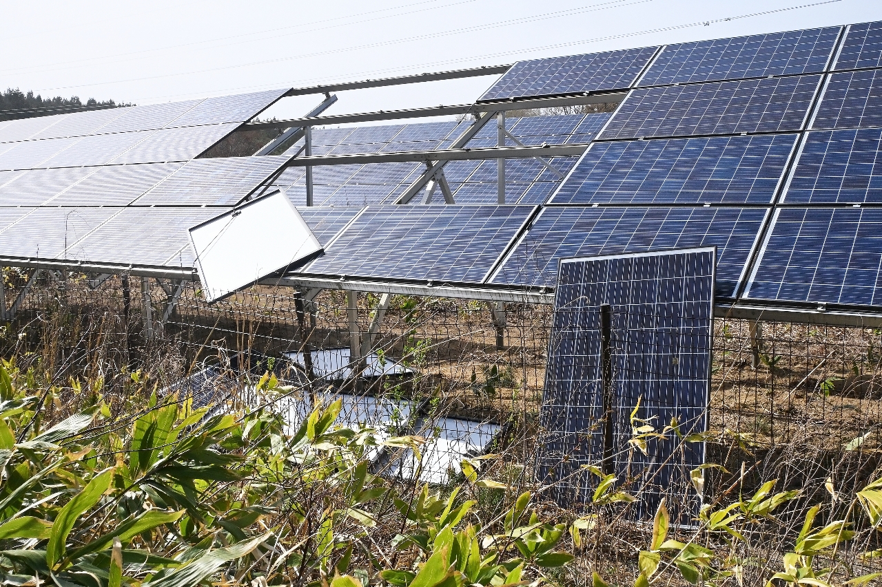ソーラーパネルが架台から外れ、散乱した太陽光発電所=22日午後2時55分ごろ、階上町角柄折蝙蝠