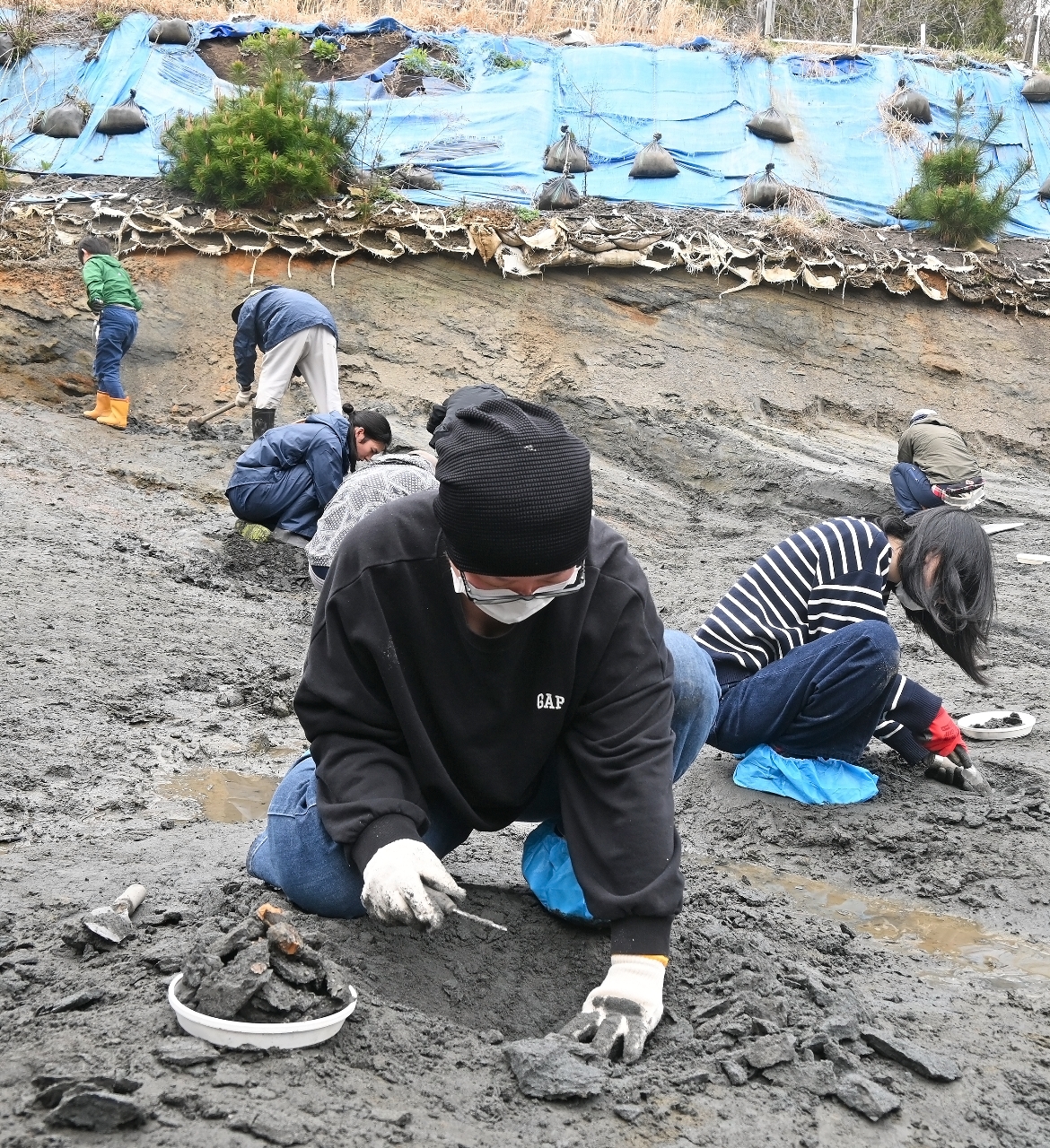 琥珀の発掘に挑戦する参加者