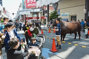 商店街に登場、ド迫力闘牛　６月の久慈全国サミット、盛岡でPR