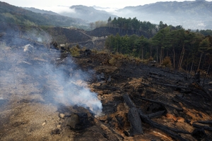 雨の中、消火活動続く　大槌町山林火災、1618ヘクタール焼損