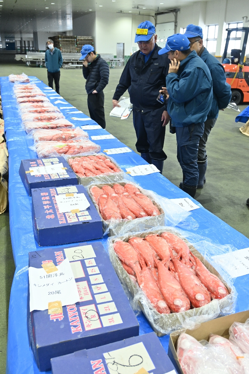 船凍キンメダイ、今季初販売　需要高く高値傾向／八戸市第３魚市場