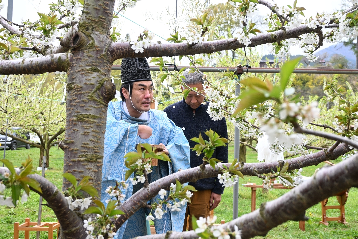 開花したジュノハートの前で神事を行った祈願祭
