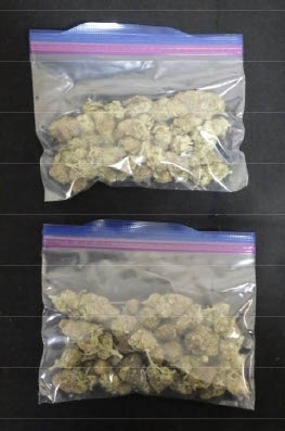 押収された乾燥大麻(八戸署提供)