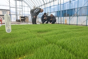 温度管理や病害対策徹底を　八戸で水稲現地講習会