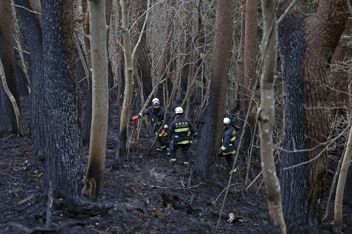 　岩手県大槌町の山中で、消火活動に当たる消防関係者＝２８日午前