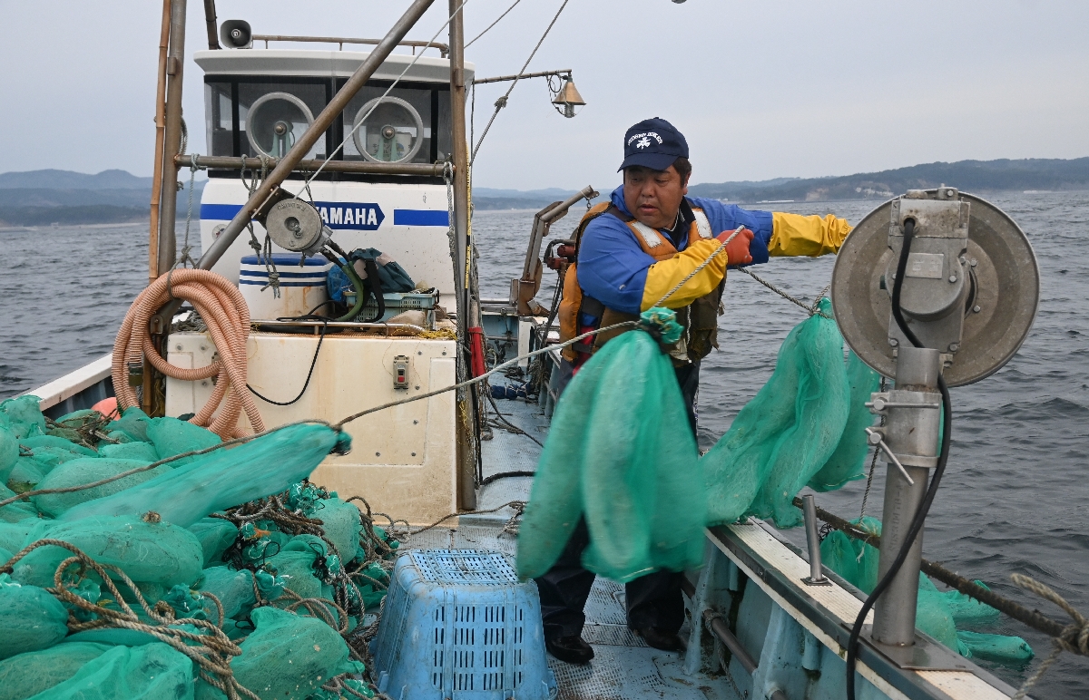 ホタテガイのラーバを確保するための「採苗器」を海に仕掛ける漁業者=27日、野田湾