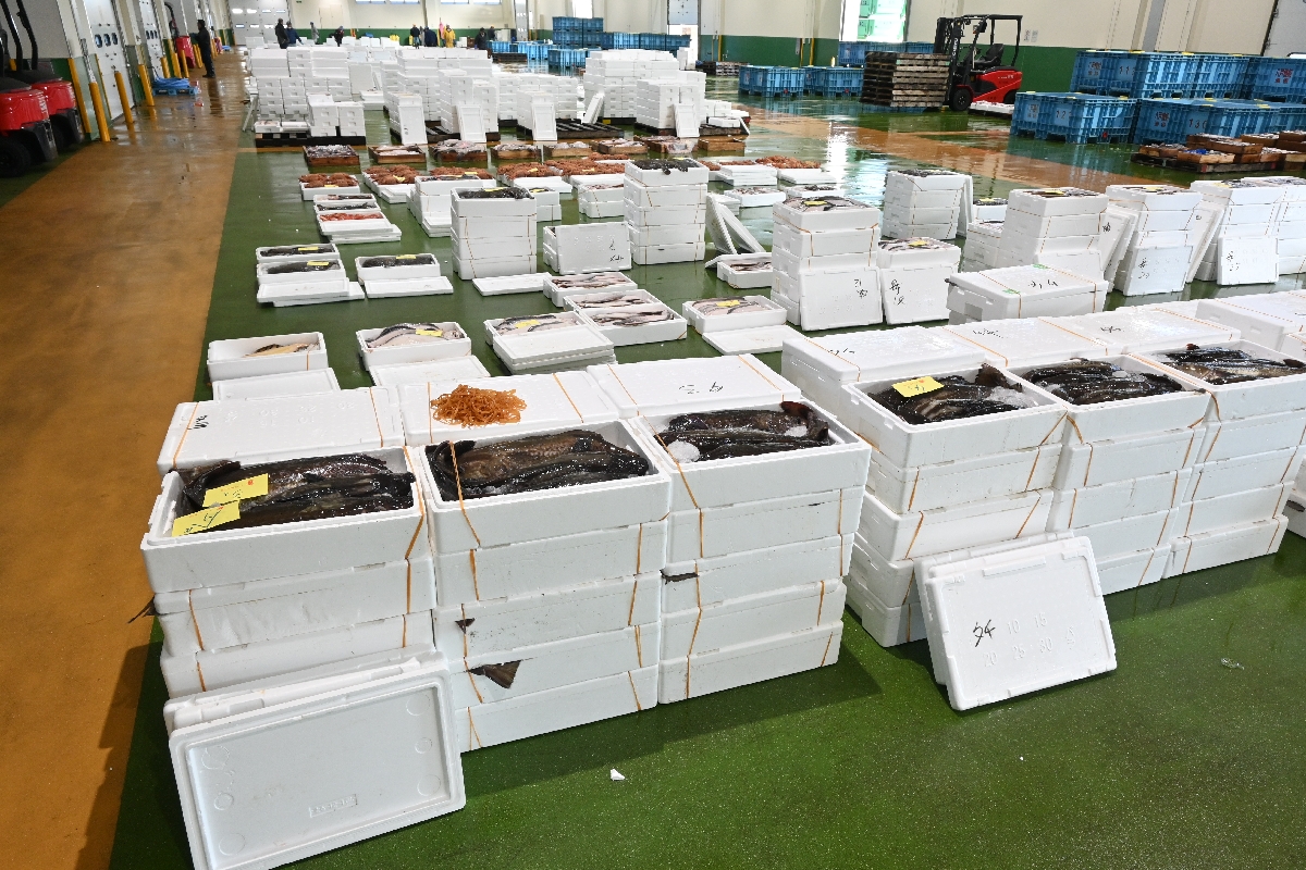発泡スチロール箱に入った魚が多数並ぶ八戸市第2魚市場=24日